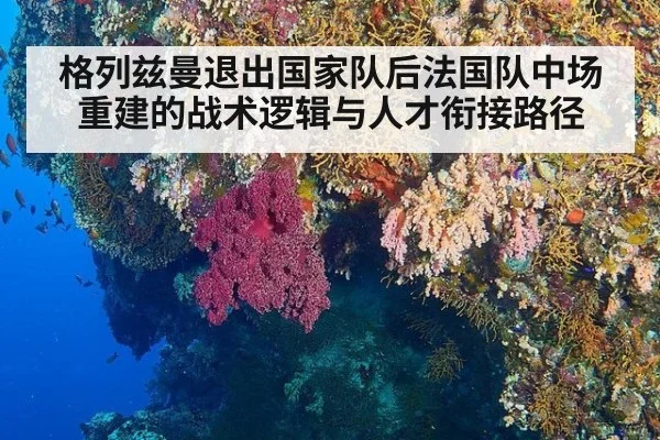 格列兹曼退出国家队后法国队中场重建的战术逻辑与人才衔接路径